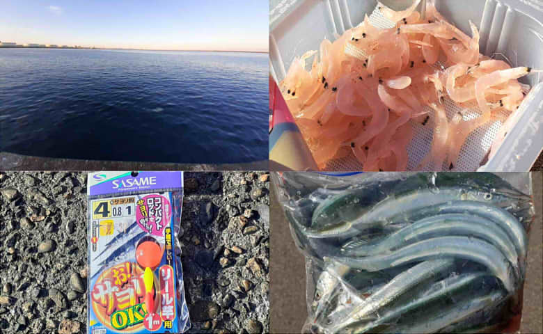 最大10 Offクーポン マルキュー Marukyu サヨリパワー Demo Ibcl Lu